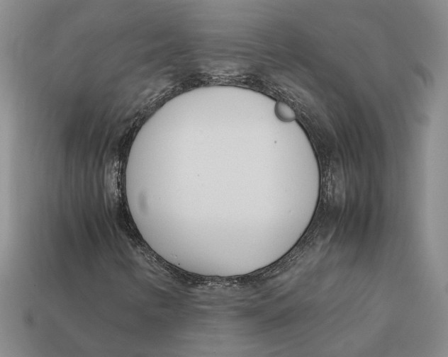 X0000112411346200909110941