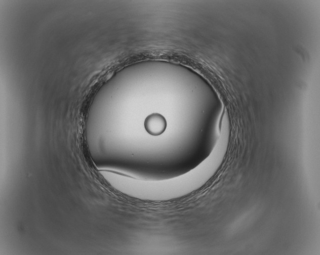 X0000112411349200909110941