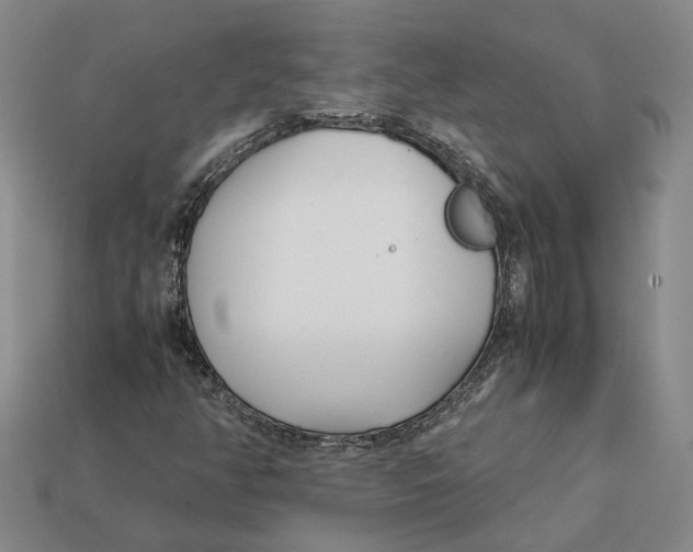 X0000112411350200909110941