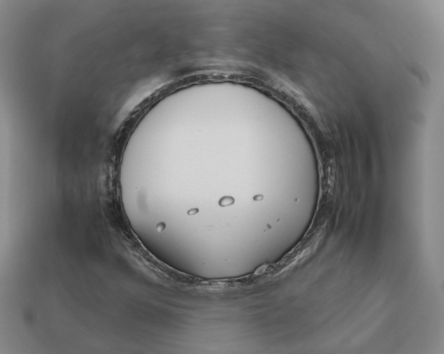 X0000112411352200909110941
