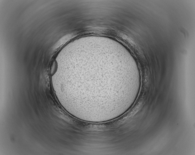 X0000112411354200909110941