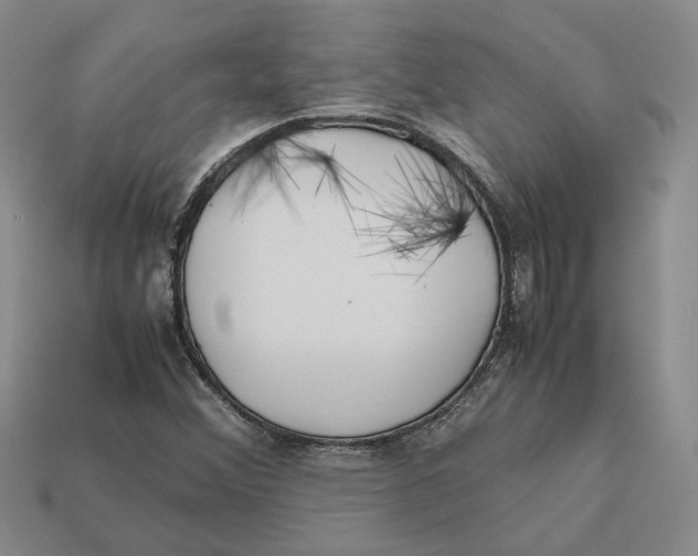 X0000112411356200909110941