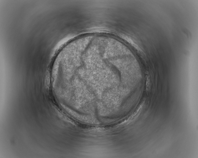 X0000112411358200909110941