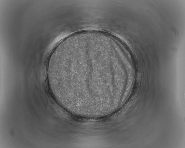 X0000112411359200909110941