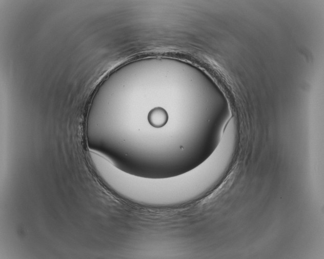 X0000112411361200909110941
