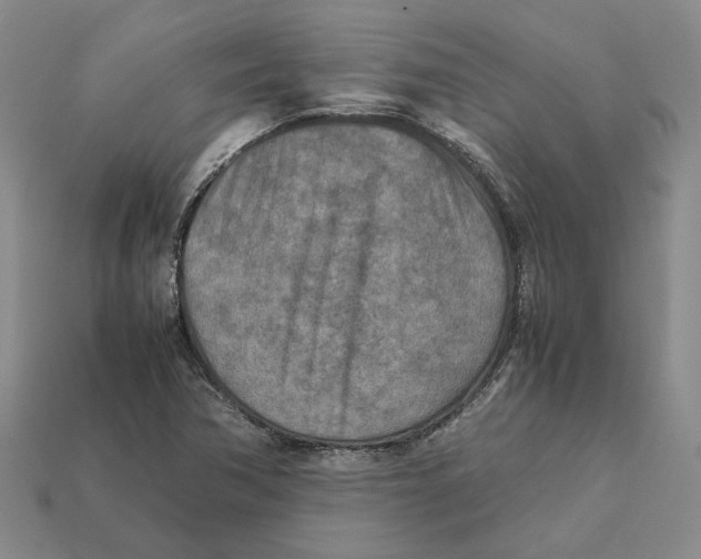 X0000112411362200909110941