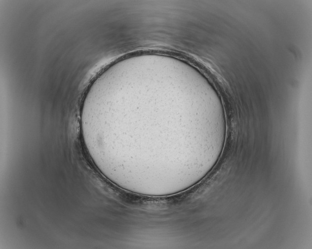 X0000112411363200909110941