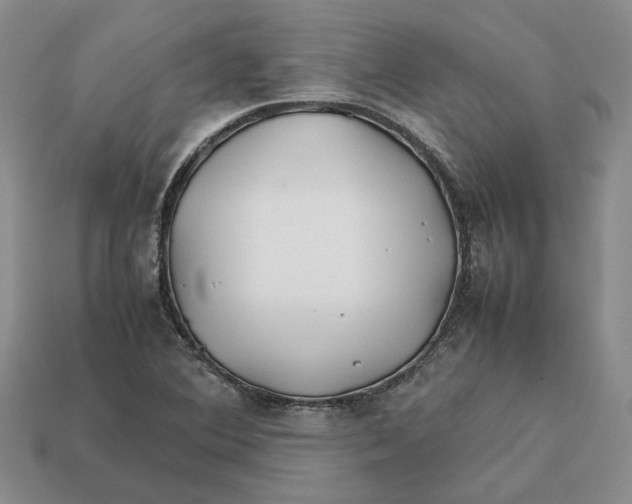 X0000112411364200909110941