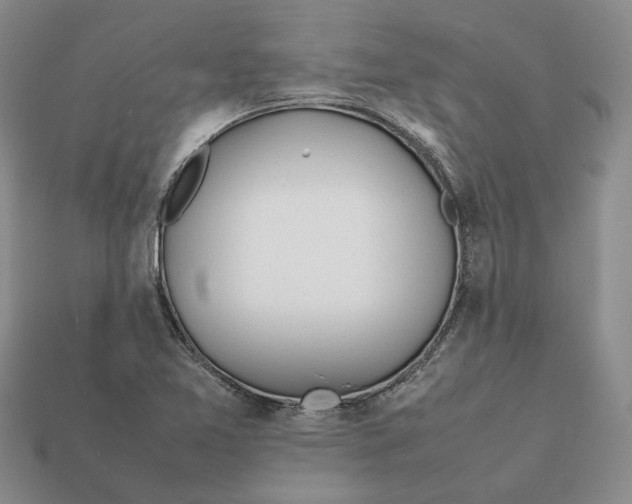 X0000112411365200909110941