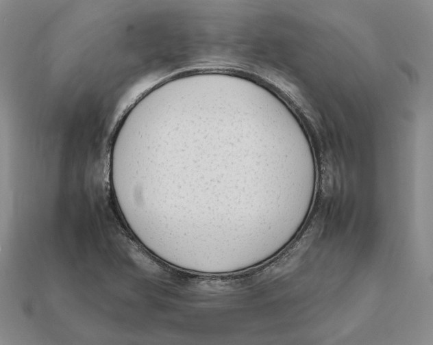 X0000112411366200909110941