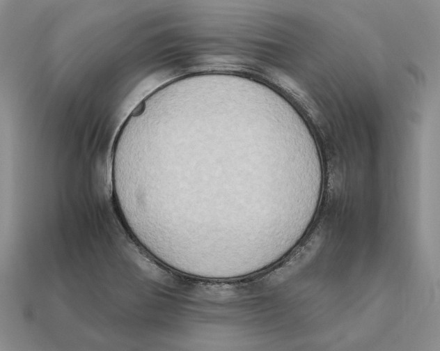 X0000112411370200909110941