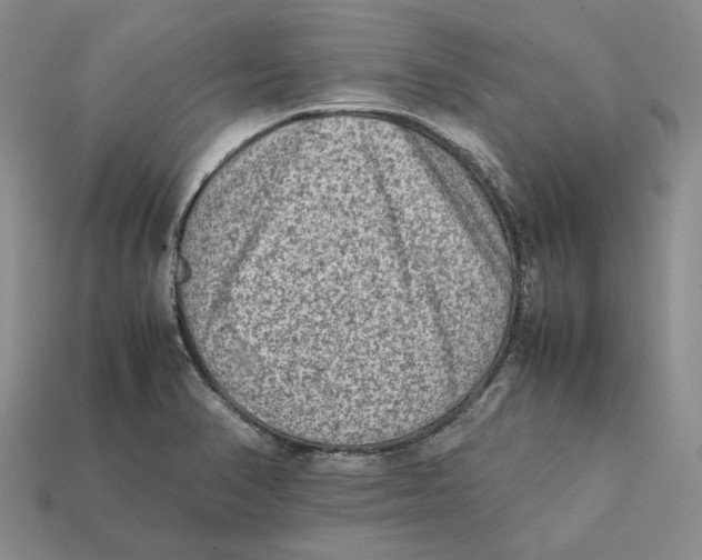X0000112411374200909110941