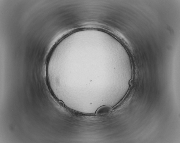 X0000112411376200909110941