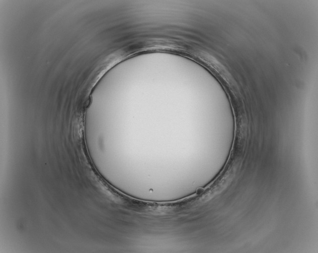 X0000112411377200909110941