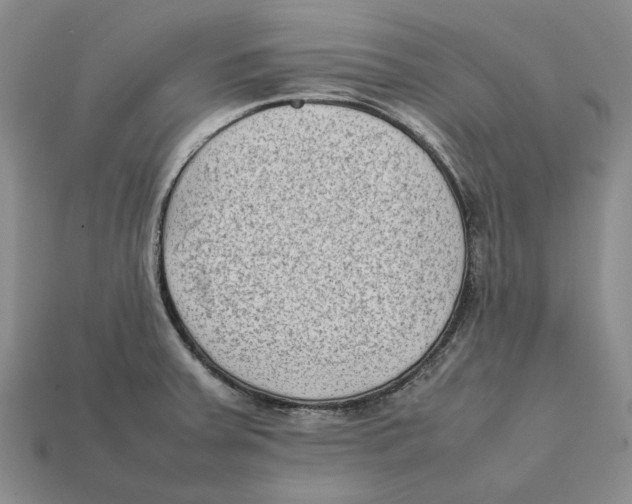 X0000112411379200909110941
