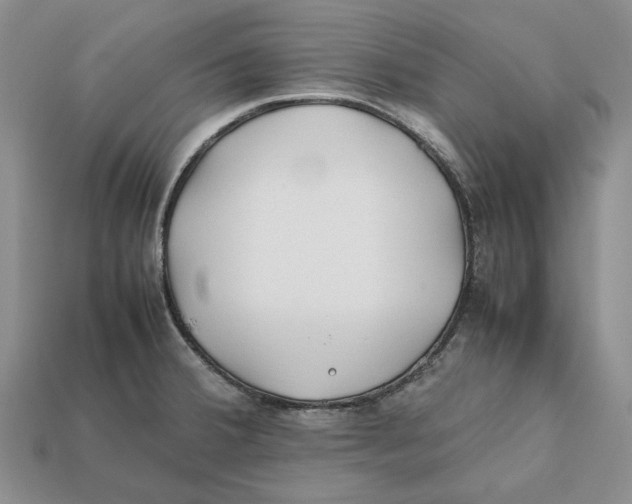 X0000112411380200909110941