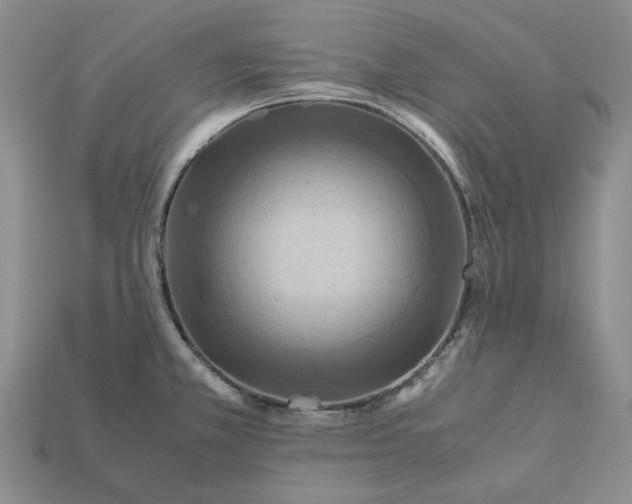 X0000112411381200909110941