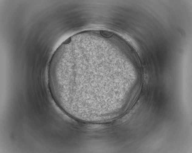 X0000112411382200909110941