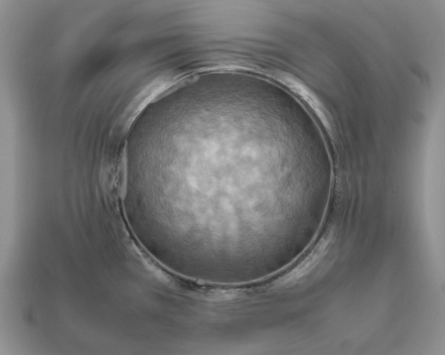 X0000112411385200909110941
