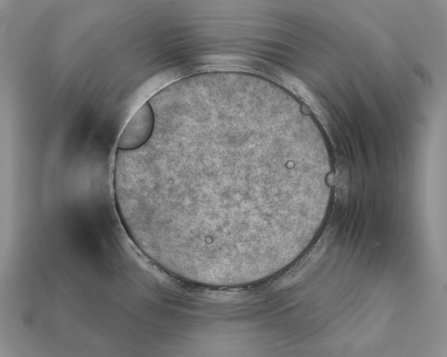 X0000112411386200909110941