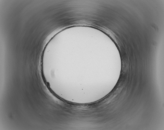 X0000112411387200909110941