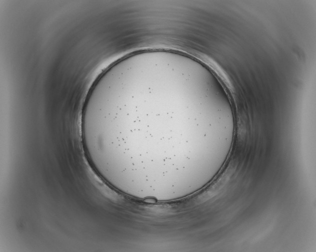 X0000112411388200909110941