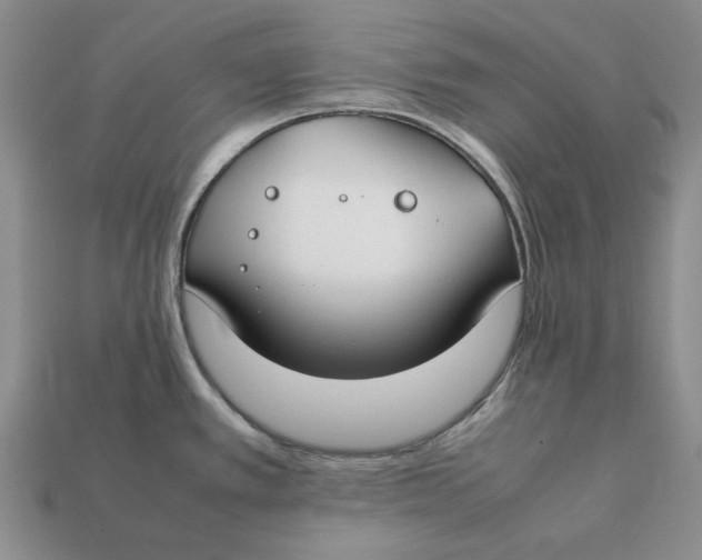 X0000112411389200909110941