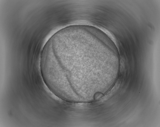X0000112411390200909110941