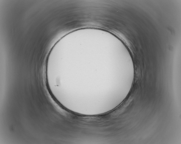 X0000112411391200909110941