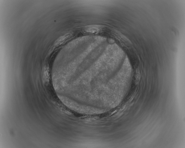 X0000112411394200909110940