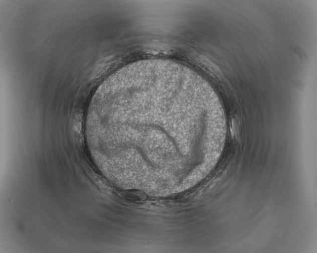 X0000112411396200909110940