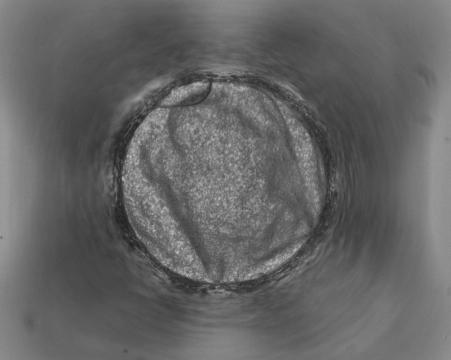 X0000112411398200909110940