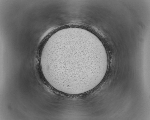 X0000112411400200909110940