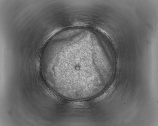 X0000112411401200909110940