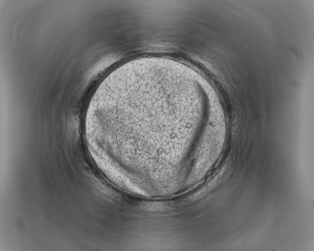 X0000112411402200909110940