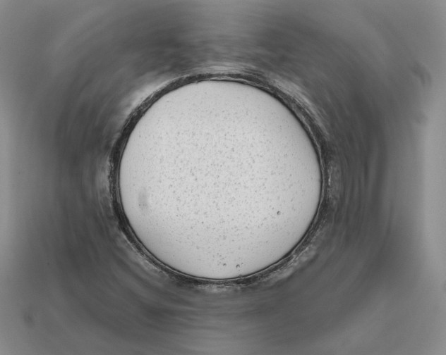 X0000112411404200909110940