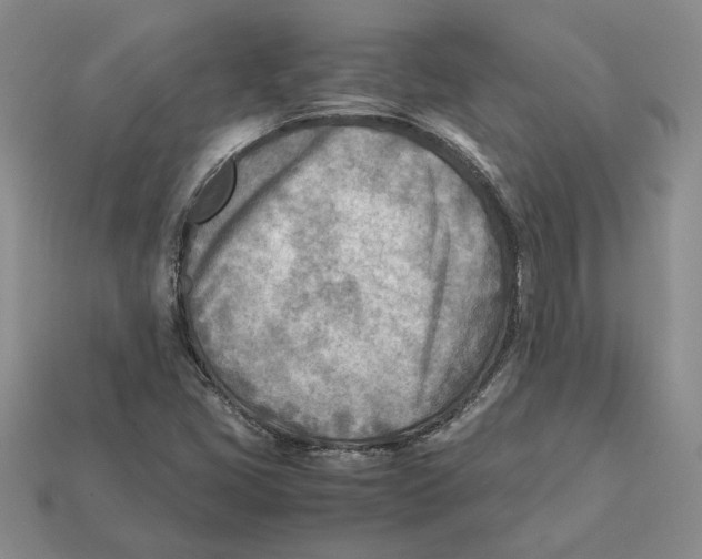 X0000112411405200909110940