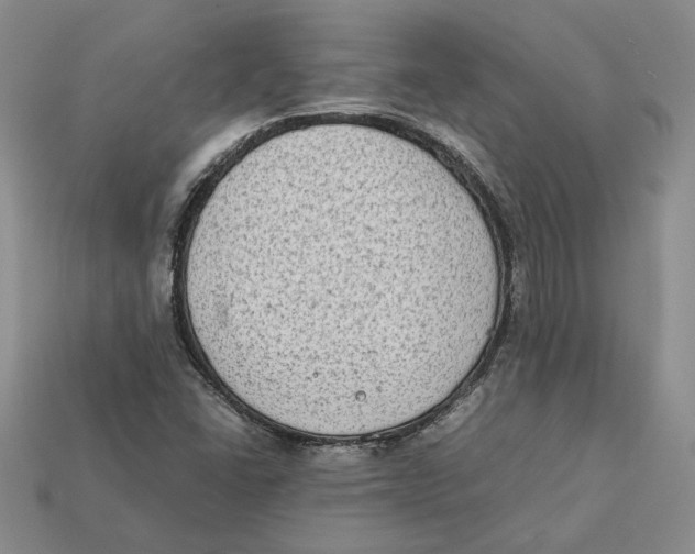 X0000112411406200909110940