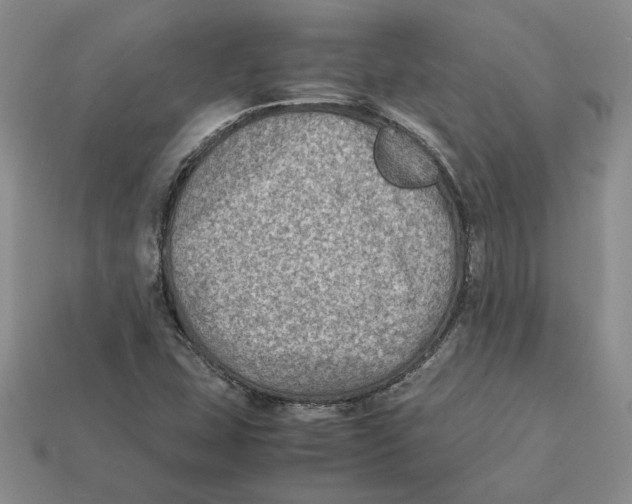 X0000112411407200909110940