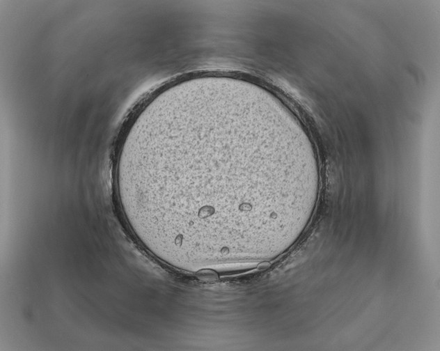 X0000112411408200909110940