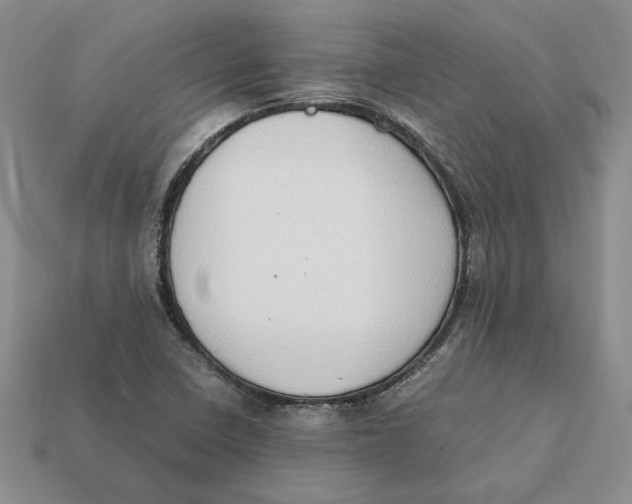 X0000112411410200909110940