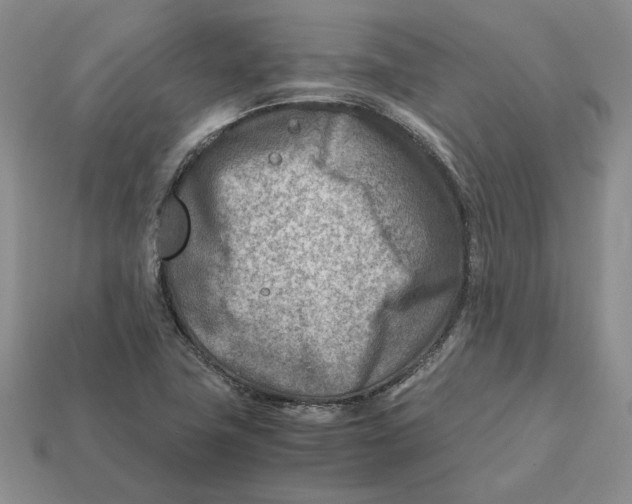 X0000112411411200909110940