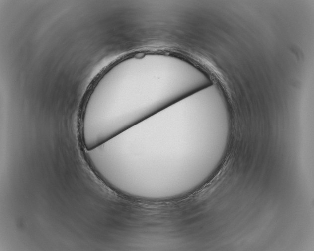 X0000112411412200909110940