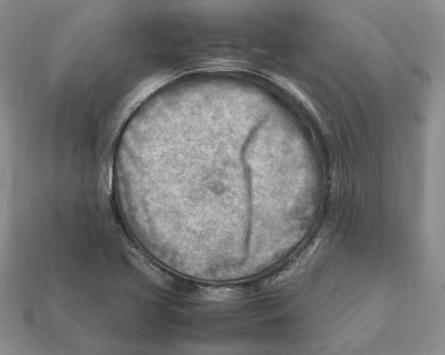X0000112411413200909110940