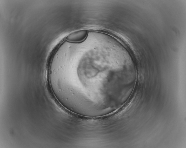 X0000112411414200909110940