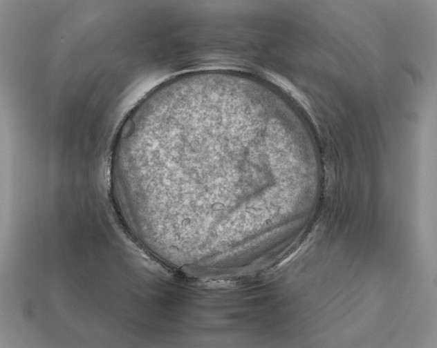X0000112411415200909110940