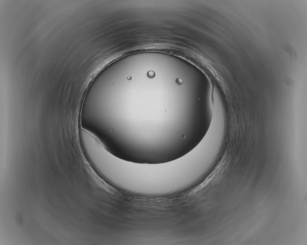 X0000112411417200909110940