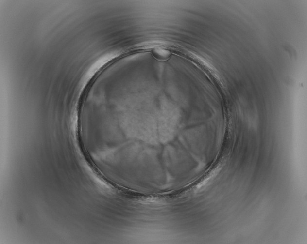X0000112411418200909110940