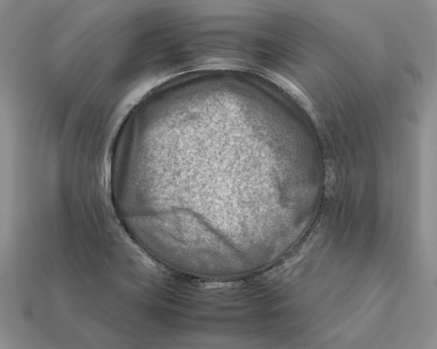 X0000112411419200909110940