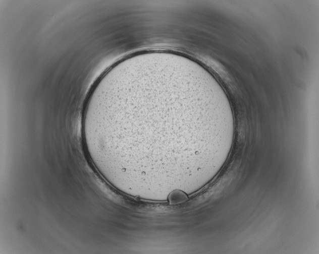 X0000112411420200909110940